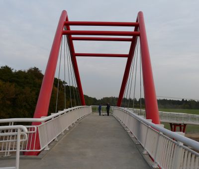 Structures on Road 61 Zegrze-Serock - Mosty Łódź S.A.